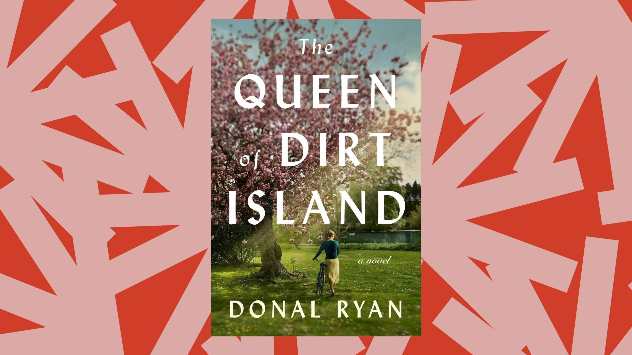 The Queen of Dirt Island - Donal Ryan - Books on the Common